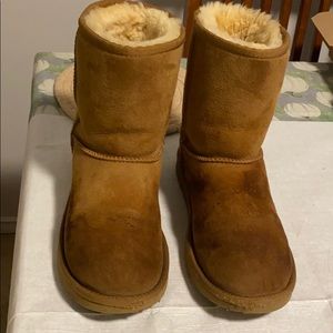 Chestnut uggs.